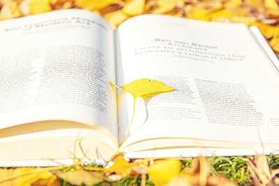 華東師范大學(xué)在職研究生
